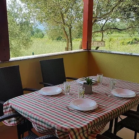 House In With Sea View, Terrace, Air Conditioning, Wi-fi Apartment Pakostane